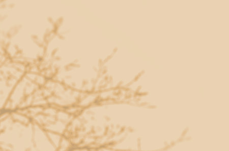 Summer background of shadows branch leaves on a wall for overlaying a photo or mockupの写真素材