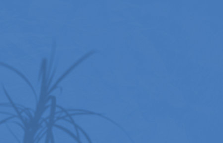 Shadow mockup. Abstract Summer background of shadows branch leaves on a wall. Color of the year 2020...