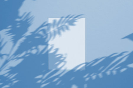 Blank white vertical paper sheet 5x7 inches with palm shadow overlay. Modern and stylish greeting card or wedding invitation mock up. . Color of the year 2020 classic blue.の写真素材