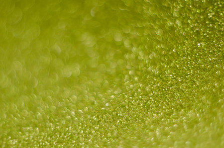Abstract Christmast green bokeh background with shining defocus sparkles. Blurred glitters shimmering dust macro close up, copy space for text . De-focusedの写真素材