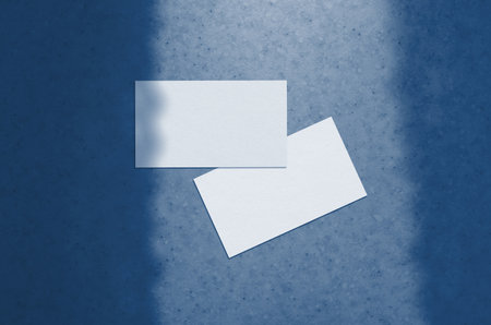 Business card Mockup. Natural overlay lighting shadows the leaves. Business cards 3.5x2 inch. Scene of Leaf Shadows. Classic Blue color. Color of the year 2020の写真素材