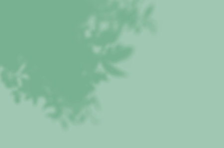 Shadow mockup. Abstract Summer background of shadows branch leaves on a wall for overlaying a photo...