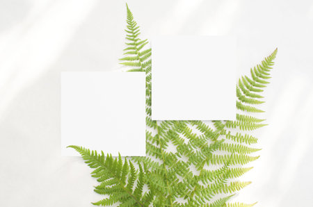 Stationery mockup with green ferns on a white background. In a minimalist style. For wedding...