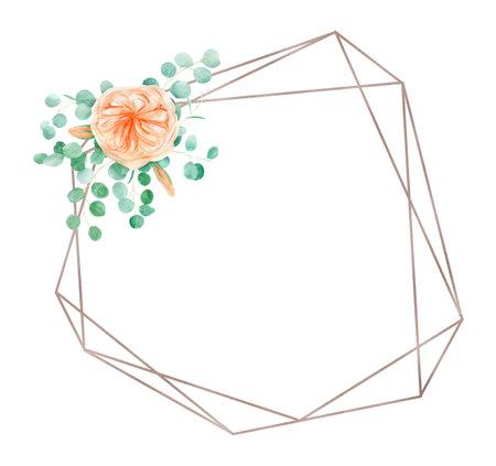 Peach and Orange Watercolor Rose Flower Frame Background with English Rose Austin and Eucalyptus.の写真素材