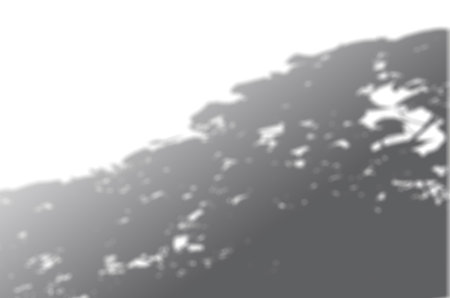 Shadow mockup. Abstract Summer background of shadows branch leaves on a white wall. White and Black...