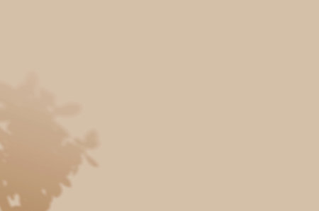 Summer background of shadows branch leaves on a wall for overlaying a photo or mockup