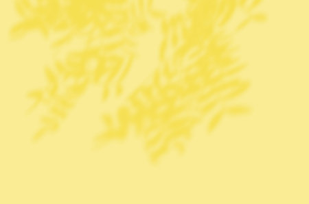 Summer Background Of Shadows Branch Leaves On a Wall. Illuminating Color Of The Year 2021.の写真素材