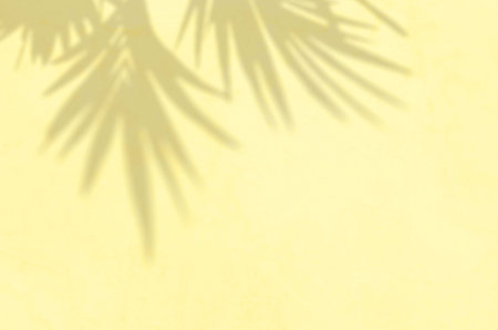 Summer Background Of Shadows Branch Leaves On a Wall. Illuminating Color Of The Year 2021.