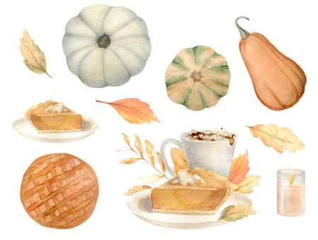 watercolor autumn design elements, fall, holiday clip art isolated on white backgroundの写真素材