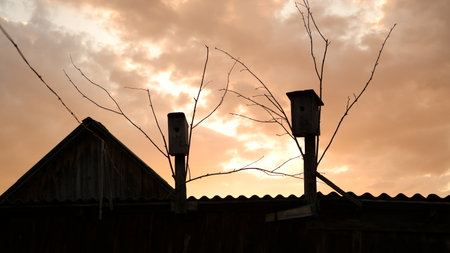 Rural landscape at sunset and village in the background. Vologda region.の写真素材