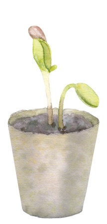 Watercolor Spring Gardening Germination From Seeds.の写真素材