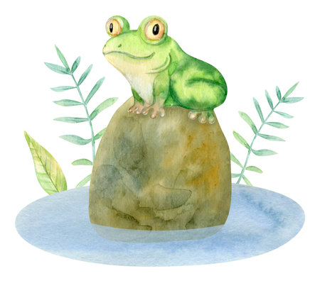 Hand Drawn Watercolor Cute Cartoon Frogの写真素材