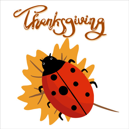 Hand drawn ladybug on maple leaf, letterin Thanksgiving, print on t-shirt, bag, invitations.のイラスト素材