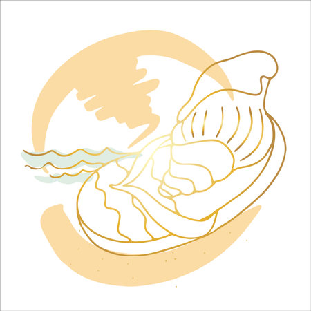 Golden line abstract drawing summer hand drawing, slippers with seashell, travel, vacation, serenity, symbol.のイラスト素材