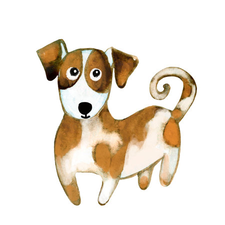 Watercolor hand drawn character dog jack russell terrier.の写真素材