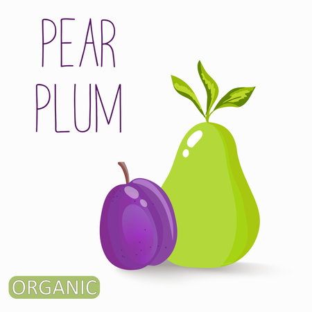 Vector illustration pear and plum, fruits, organic healthy food, vegetarian, ingredients.のイラスト素材