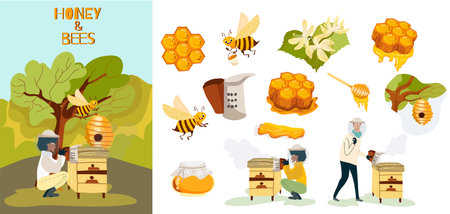 Set of vector illustrations, in cartoon style, characters of people, man, woman, bees, on the theme of honey, bees, beekeeping.のイラスト素材