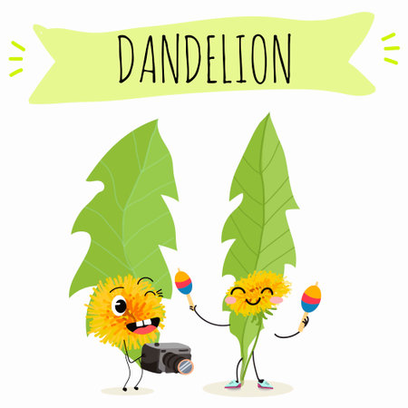Vector cartoon character dandelion, funny character, medicinal plant, cooking.のイラスト素材