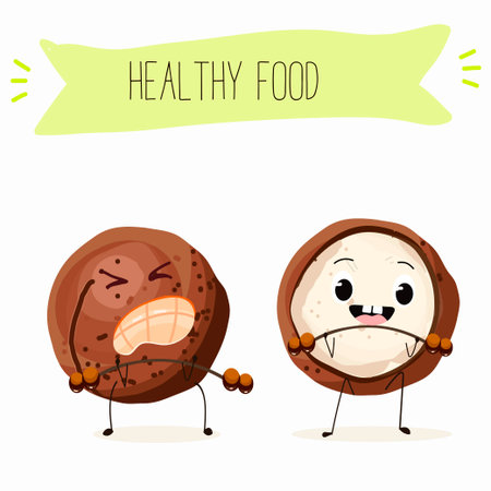 Cute cartoon macadamia nut characters. Flat vector illustration, cheerful nut.のイラスト素材