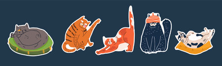 Stickers for International Cat Day on August 8th. Funny cheerful cartoon fat cat. Happy Pets Print greeting cards, posters, flyers.のイラスト素材