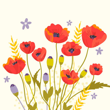 Red poppy flower illustration vector art. Red petals black stamens poppy flowers isolated on white. Meadow wild blossom field blooming plants. Green buds and leavesのイラスト素材