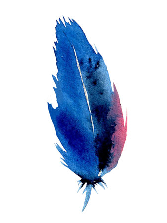 Hand drawn watercolor painting vibrant feather.の写真素材