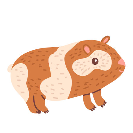 Guinea animal flat vector illustration on white background.のイラスト素材