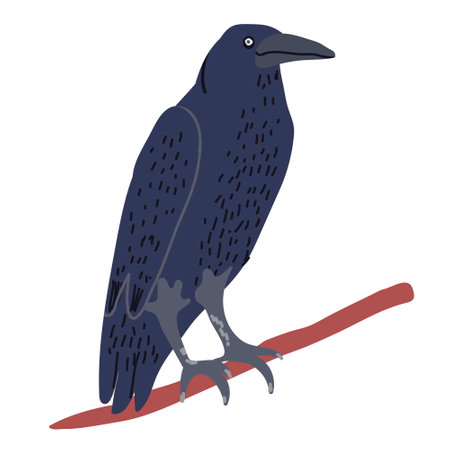 Crow isolated illustration on white backgroundのイラスト素材