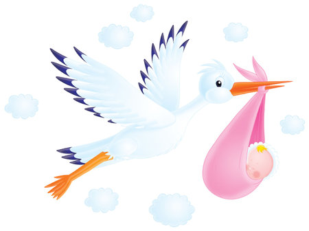 White stork delivers a newborn to his parentsの写真素材