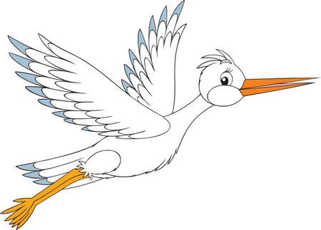 White storkのイラスト素材