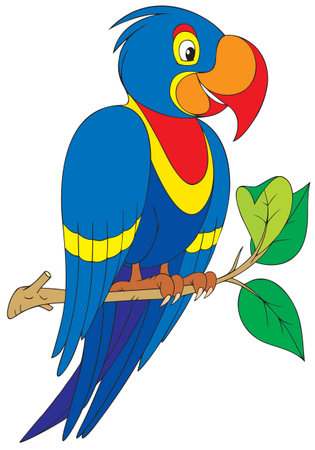 Parrotのイラスト素材