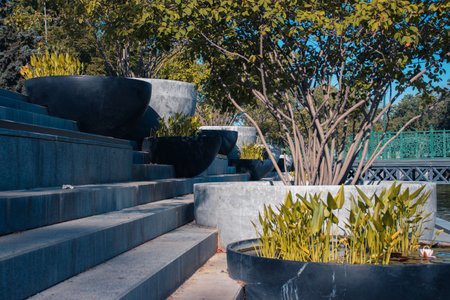 The green trees at flowerpot, sunshine morning concept photo.の写真素材