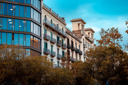 Building with glass facade in the modern city. Office building with green environment. Go green concept. Beautiful urban scenery photography. High quality picture for wallpaper, articleの写真素材