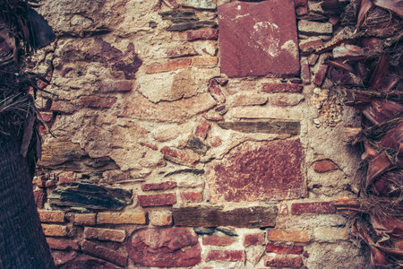 Palm tree trunk of the wall background photo. Cracked bark of tropical palm textured tree....