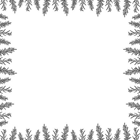 Flourish frame with monochrome elements. Trendy botany graphic template. Grass empty frame box. Hand drawn vector illustration isolated on white backgroundのイラスト素材