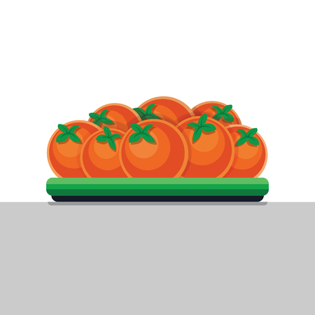 Mandarins in flat style illustration.のイラスト素材