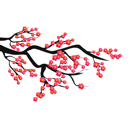 Sakura branch. Vector color illustration on isolated background. Object.のイラスト素材