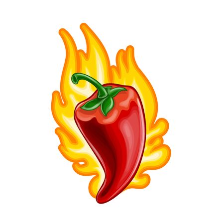 Hot red chili pepper with fire. Volumetric vector illustration in cartoon style. Icon.のイラスト素材