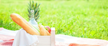 picnic basket, fruit, milk, apples, pineappe summer rest plaid grass Copy spaceの写真素材