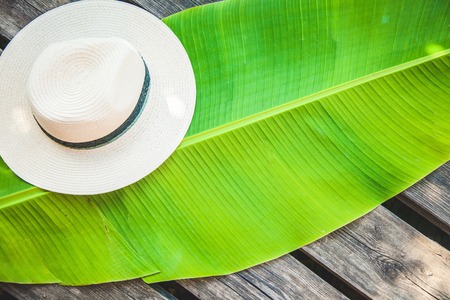 palm leaf, straw hat Summer background Copy spaceの写真素材