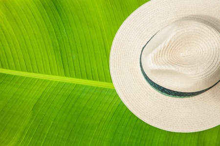 palm leaf, straw hat Summer background Copy space Top viewの写真素材