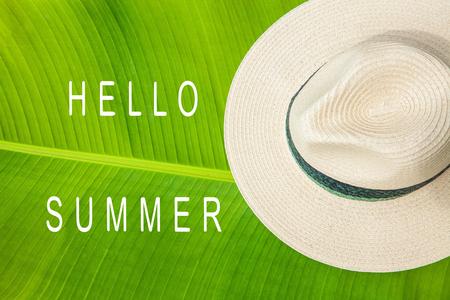palm leaf, straw hat Summer background Copy space Top viewの写真素材