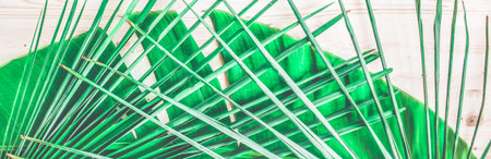 Palm leaf on a wooden background Summer background Top view Banner Copy spaceの写真素材