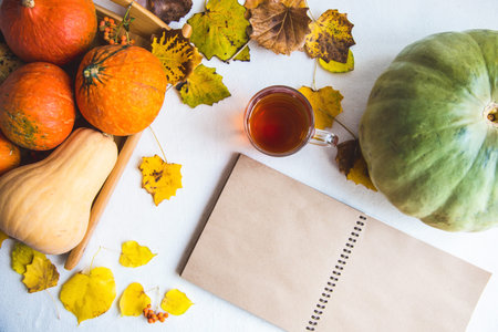 Hello, Autumn. Orange pumpkins Notepad Cup of tea Autumn foliage on a white background Copy space