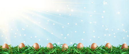 Easter eggs on green grass with bokeh and sunlight on a blue background Easter concept Copy space...