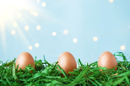 Easter eggs on green grass with bokeh and sunlight on a blue background Easter concept Copy spaceの写真素材