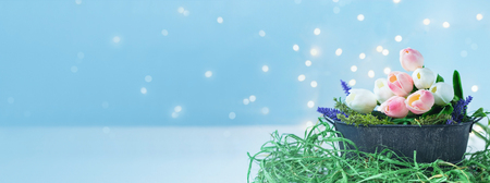 bouquet of tulips with bokeh lights on a blue background. Women's day concept Bannerの写真素材