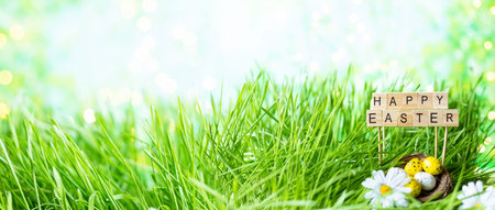Phrase Happy Easter made of letters on a background of green grass, Easter eggs. Easter, spring...