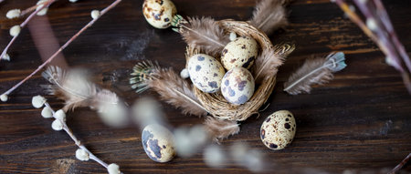 quail eggs, feathers, willow branches on a wooden table. Vintage effect Selective focus Banner