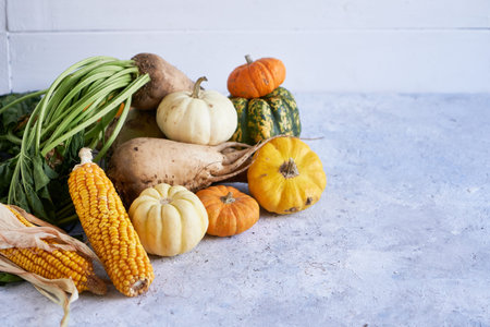 Autumn harvest of vegetables. pumpkin, radish, corn